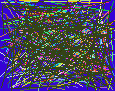 phone number lookup