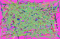 search find people free